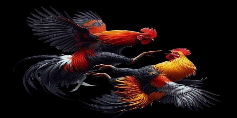 Khám Phá 4 Sảnh Game Hot Nhất Trên KUBET Qua Đường Link CN3789